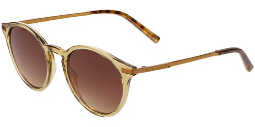 Ted Baker TB1632 500 Men's Sunglasses Yellow