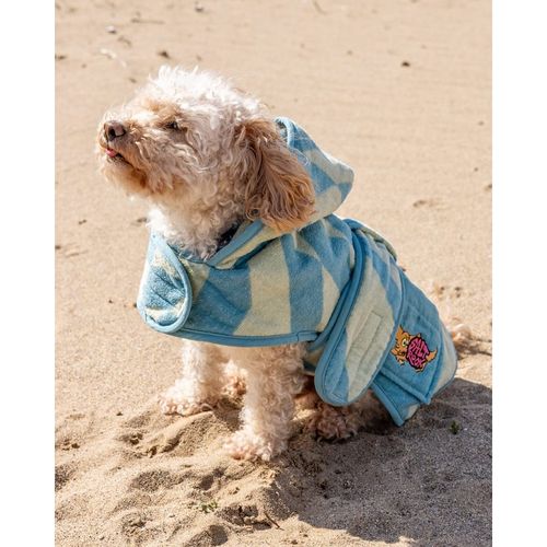 Saltrock Warp Pet Towelling Robe in Light Blue