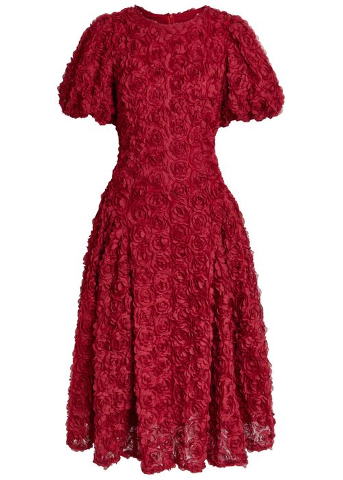 Carabet Floral-appliquéd Tulle Midi Dress