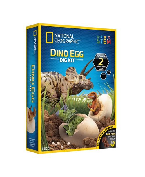 Dino Egg Dig Kit - N/a