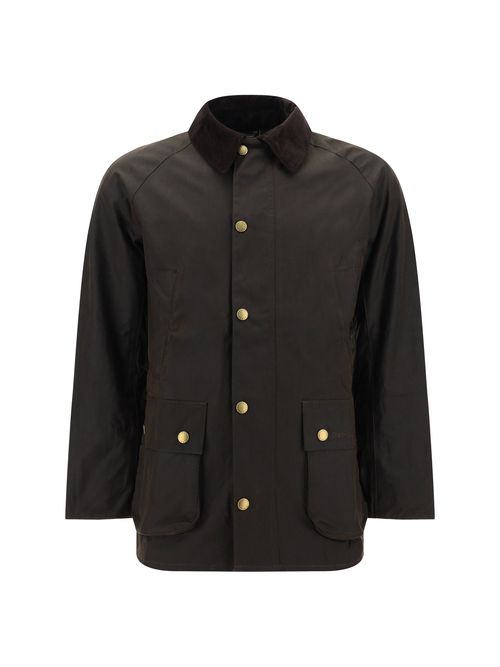 Ashby Jacket — Olive