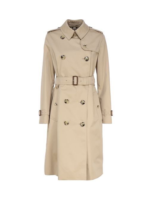 Trenchcoat In Cotton