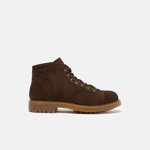 Gino Brown Suede