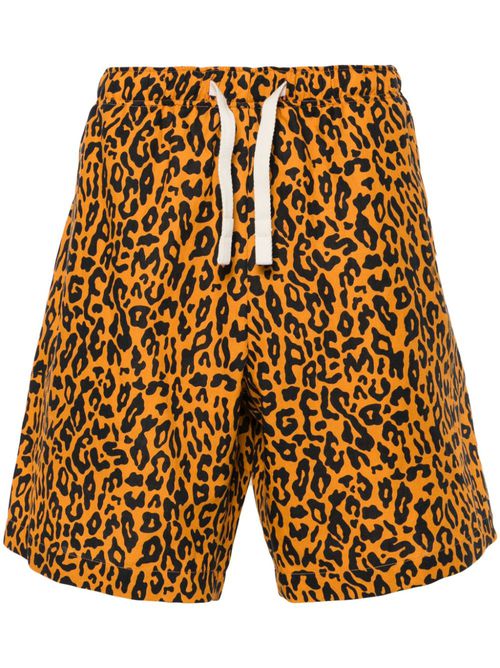 Leopard-print poplin shorts - Orange