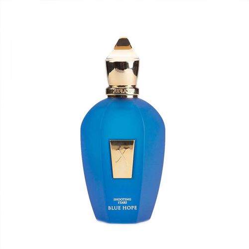 Unisex Blue Hope EDP Spray 3.4 oz (Tester) Fragrances 8033488153236