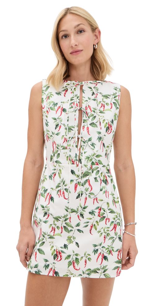Chili Print Tie Front Mini Dress Multi