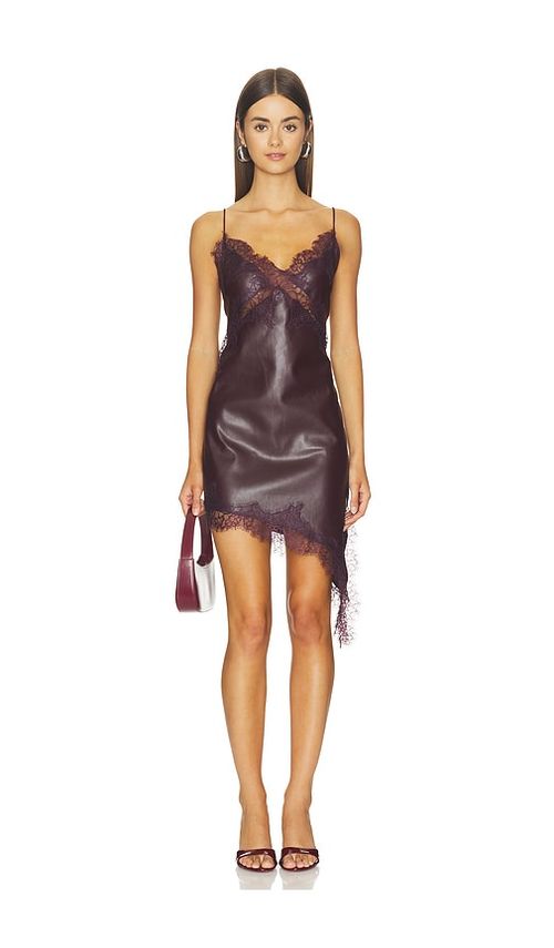 LAMARQUE Paulina Dress in Burgundy. XS. Also in