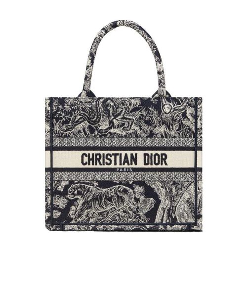 Small Dior Book Tote