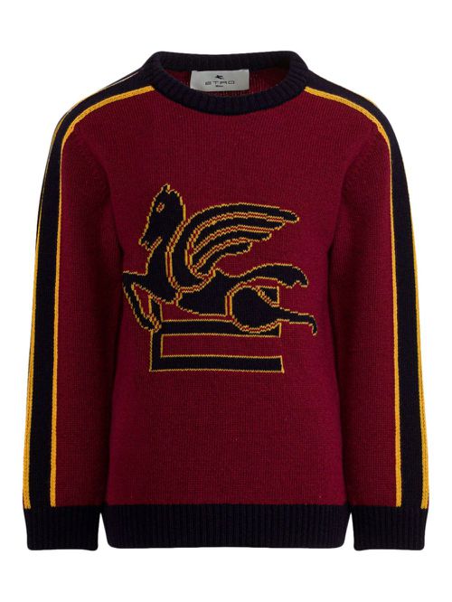 Pegaso jumper - 428BL RED