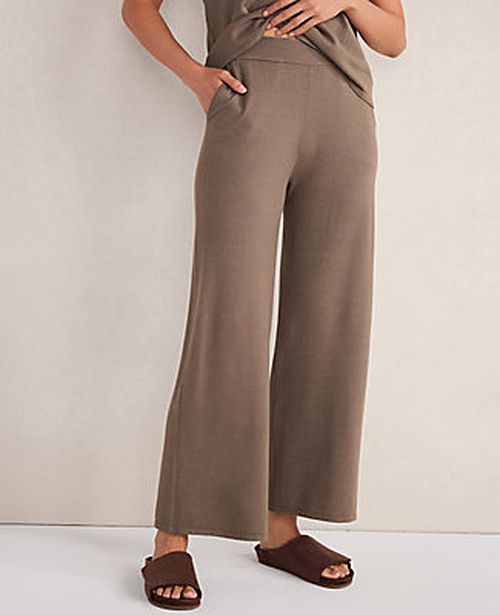 Ann Taylor Haven Well Within Relaxed Jersey Wide Leg Pants