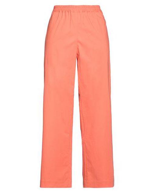 Woman Pants Rust Size 6 Cotton, Elastane