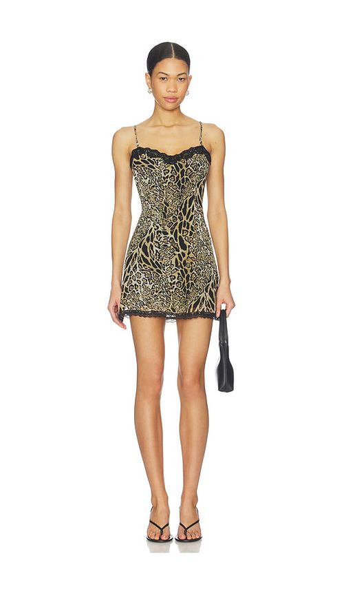 Superdown Assa Mini Dress in Tan. - XS also in