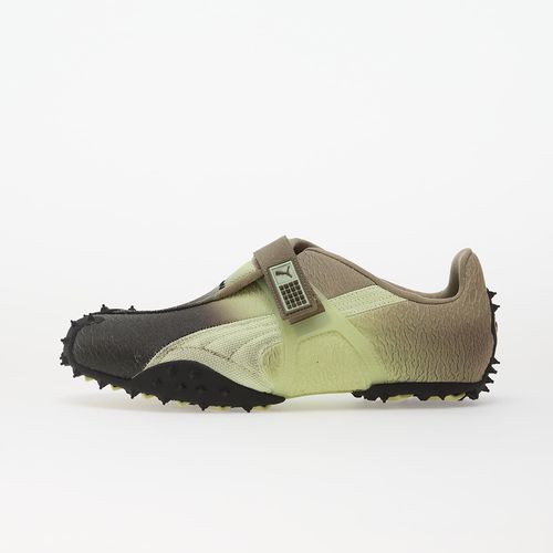 Sneakers Puma RPT-2 Biology Apple Spritz/ Velvet Mo