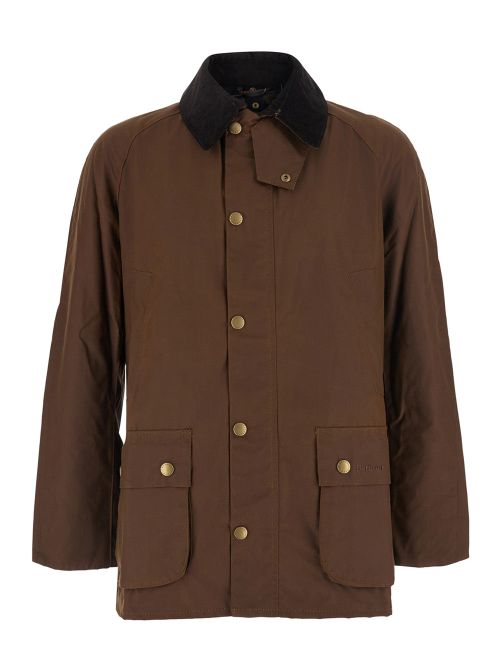 Ashby Continuous Coat — Brown
