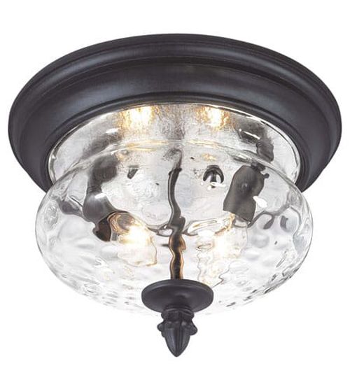 Ardmore 2-Light 9" Outdoor Ceiling Light in Black