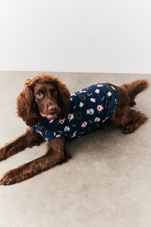 Dog Festive Print Pyjama