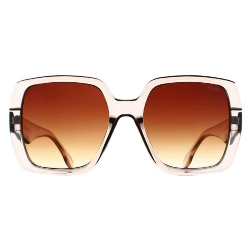Atum Square Womens Transparent Beige Brown Gradient Zouk Sunglasse