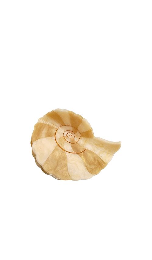 Solar Eclipse Hand-painted Spiral Shell Claw Hair Clip in Beauty: Multi