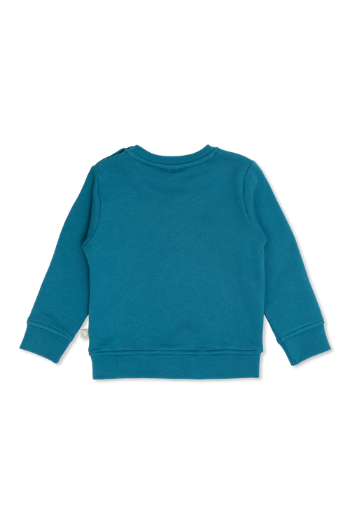 Stella McCartney Kids Sweatshirt With Print, Unisex, Blue