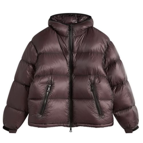 Men's Translucent Hooded Bubble Jacket in Raisin