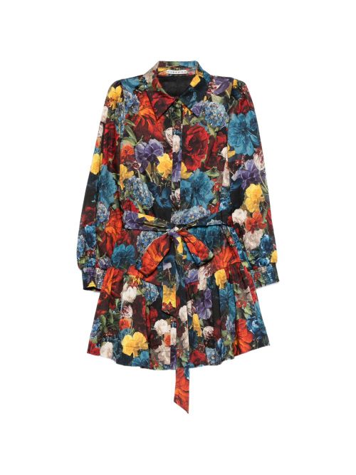 Printed shirtdress