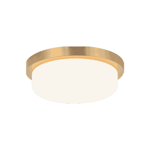 Matteo Durham 1-Light Ceiling Light In Aged Gold Bra