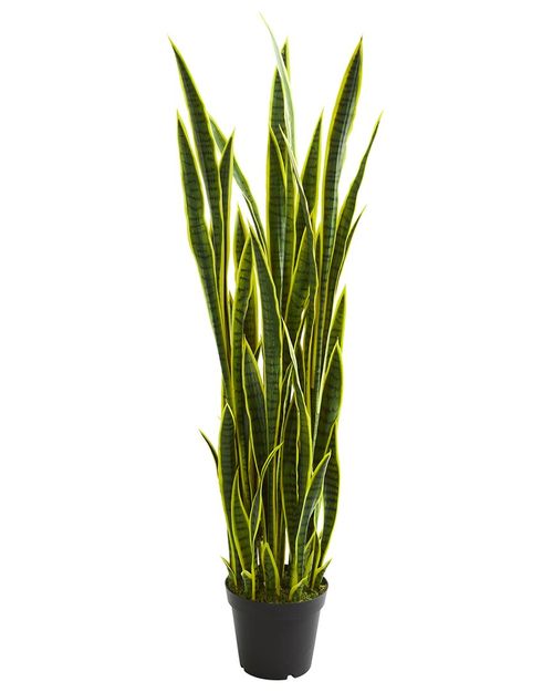5Ft Sansevieria Artificial Plant