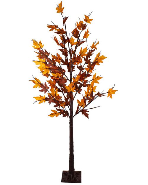 Northlight 6ft Pre-Lit LED Brown Maple Artificial Christmas Tree- Clear Lights