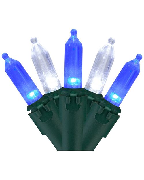 Northlight Set of 100 Blue & Pure White LED Mini Christmas Lights 4in Spacing  - Green Wire
