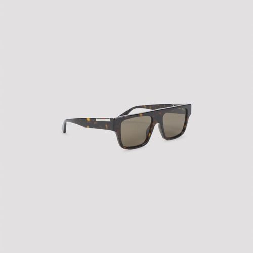 Sunglasses Unica