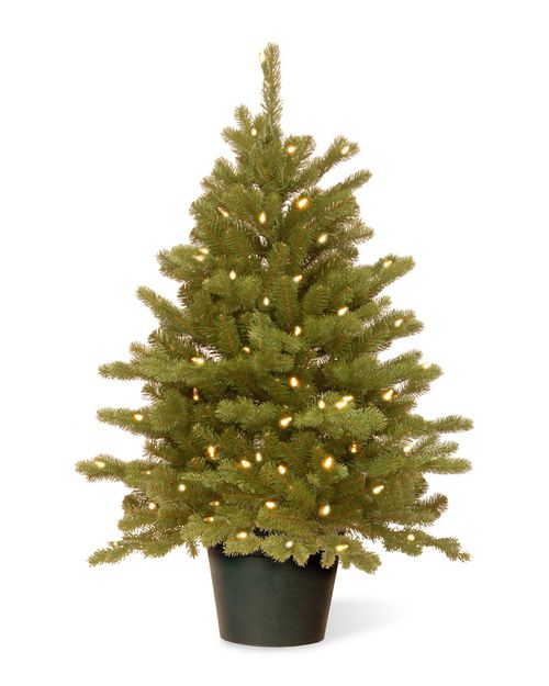 3Ft Feel-Real Hampton Spruce Small Wrapped Tree In Growers Pot With 100 Clear Lights