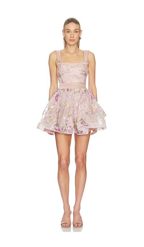 Zhivago The Bertolini Mini Dress in Nude. - 10 also , 12, 2, 4