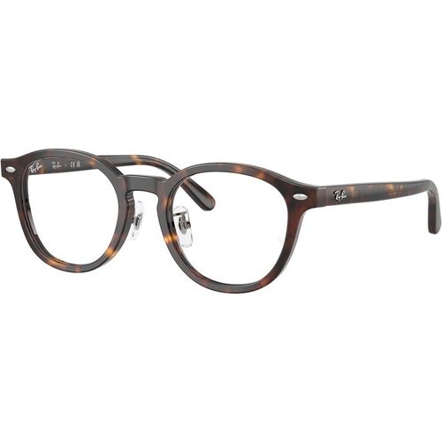 Ray - Ban Unisex Ray - Ban RX5443D 2012 Optical frames Acetate Turtle Transparent Squared Norma