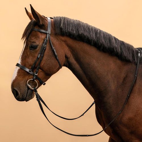 Decathlon Horse Riding Leather Bridle With French Noseband & Reins For Horse & Pony 100
