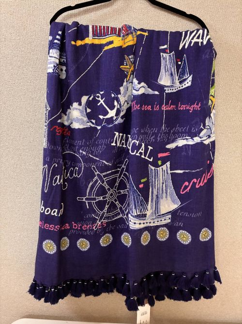 Embroidered Scarf In Blue Multi