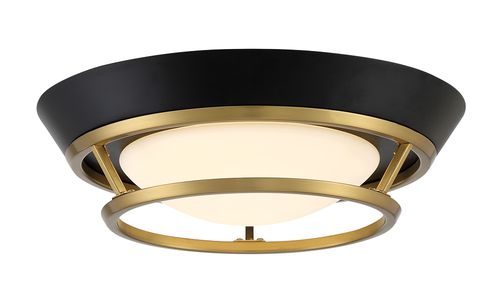 Coal And Satin Brass LED Flush Mount from the Beam Me Up Collection