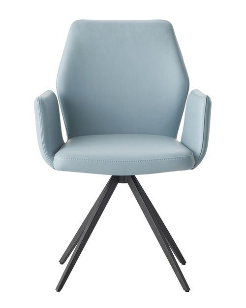 Furniture Segismunda Arm Chair with Swivel