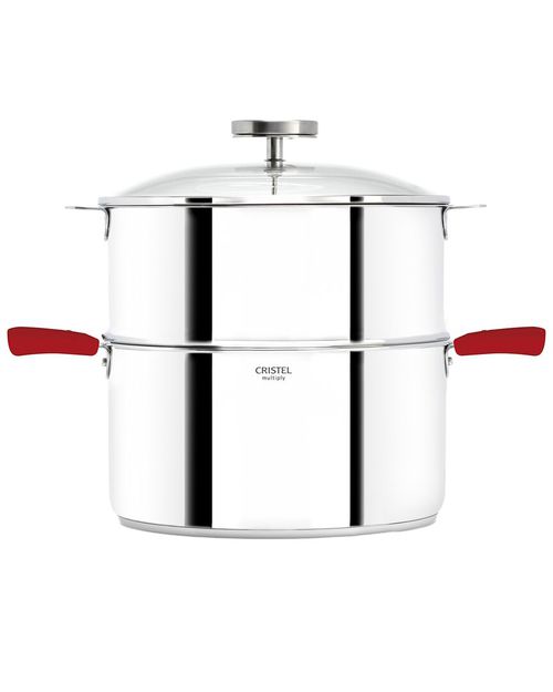 Biome 11.5 Qt. Stainless Steel Steamer