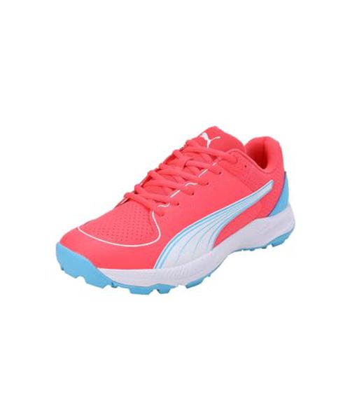 Puma Men's 22 FH Rubber Cricket Shoe
