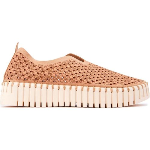 Tulip Plateau Shoes