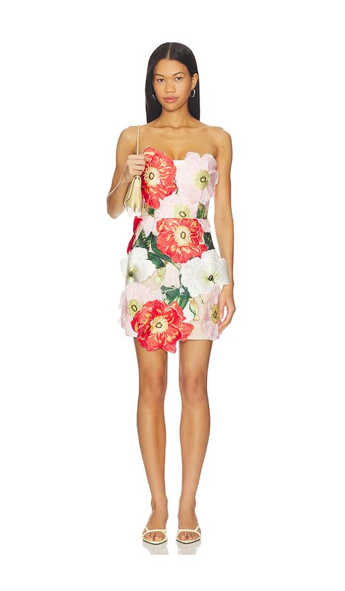 ELLIATT Solara Mini Dress in Pink,Red. M. Also in L, S