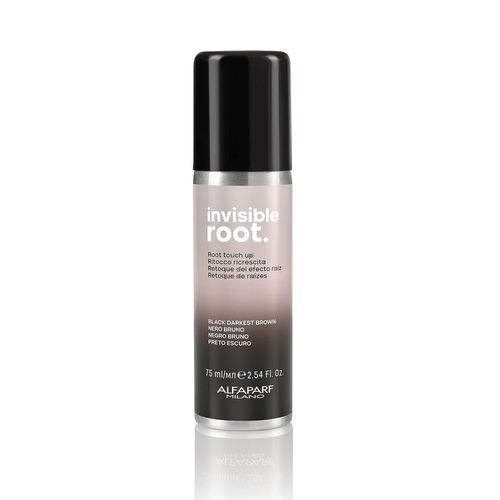 Invisible Root Touch Up Spray - Black