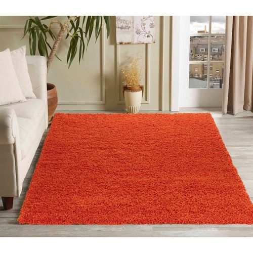 Modern Elegant Soft Shaggy Rug for Living Rooms - Stylish Area Rugs