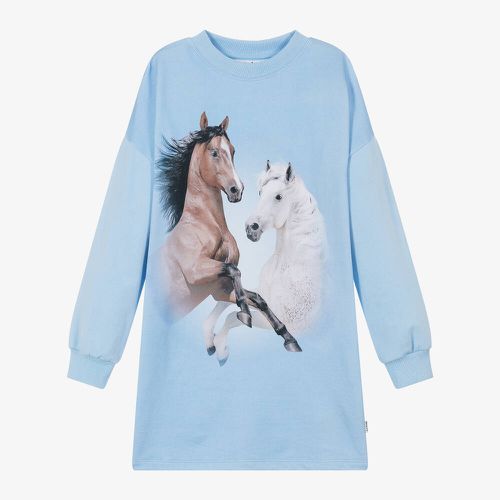 Girls Blue Cotton Sweatshirt Dress