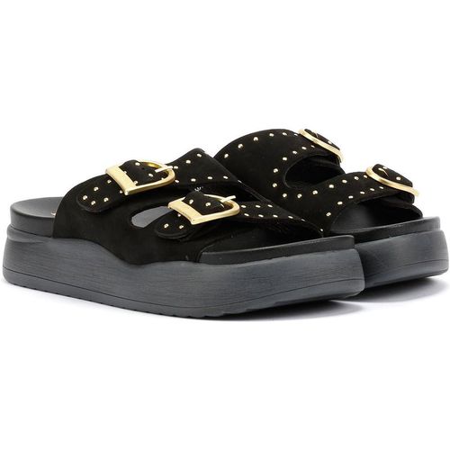 Desert Fleur Girasol Nubuck Women's Black Sandals