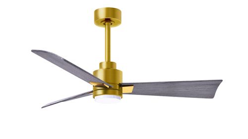 Brushed Brass 42" Ceiling Fan from the Alessandra - LK Collection