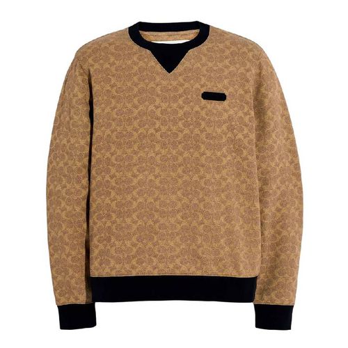 Essential Crewneck Sweatshirt In Signature