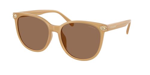 Coach HC8414BD CW428 Asian Fit 585473 Women’s Sunglasses Brown Size 57