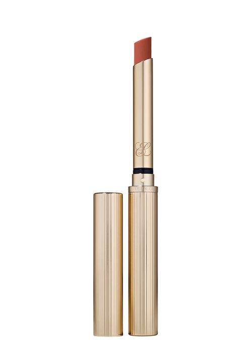 Pure Color Explicit Silk Matte Lipstick - Ulterior Motive