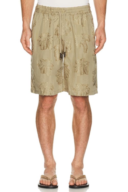 OAS Nicola Shorts in Light Brown - Brown. L also in M, S, XL/1X